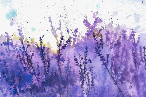关键词 : 水彩画,紫色,薰衣草,背景装饰