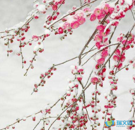 春雪韩愈诗配画