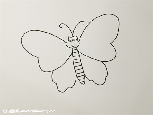 一笔一画的蝴蝶画法