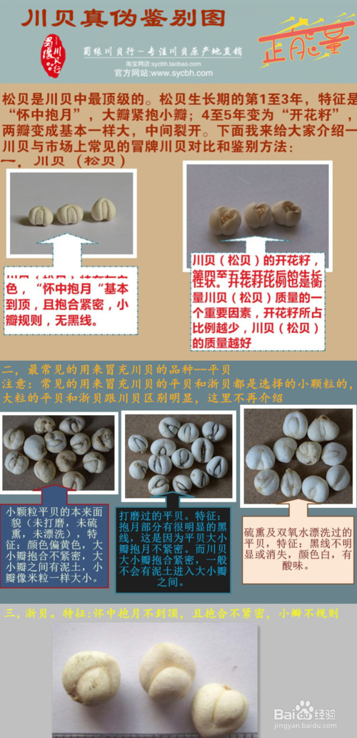 川贝的鉴别方法