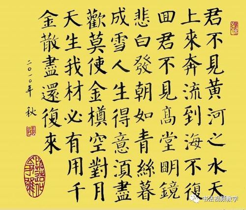 颜体行书将进酒精彩带视频