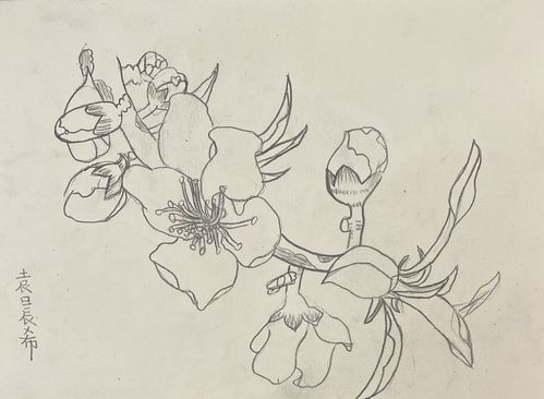 进行了针对性的临摹学习, 临摹: 复制或模仿绘画或书法原作,是学习