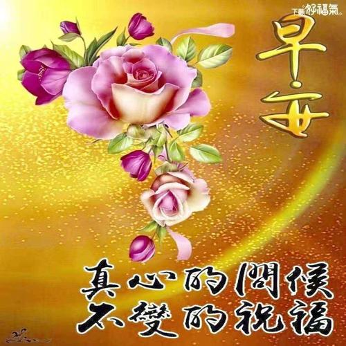 在于有苦有甜; 朋友的美,在于相随相伴; 祝福的美,在于每天牵挂