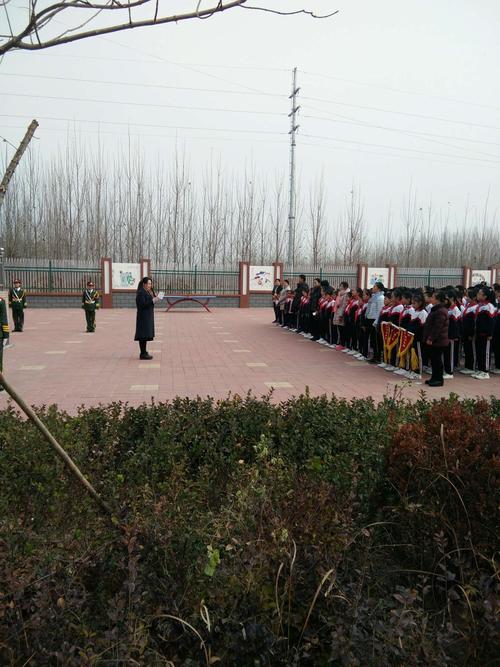 杨安镇小学校园文化建设比赛