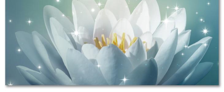 唯美莲花图片大全