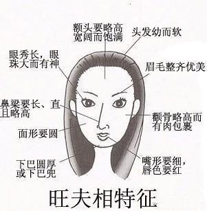 面相解析女人颧骨高杀夫不用刀