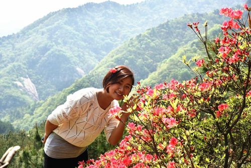 走进桐柏山,去享受夏日里的一抹清凉!