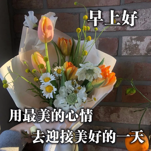 最漂亮早上好动态图片大全 最美清晨图片加问候语