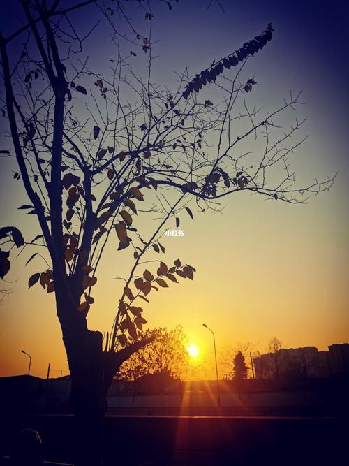 冬天的早晨_冬天去哪玩_日出_出行_传统景点攻略