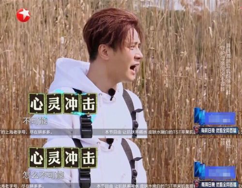 40岁罗志祥遇上36岁雷佳音,虽然只差四岁,画风却天壤