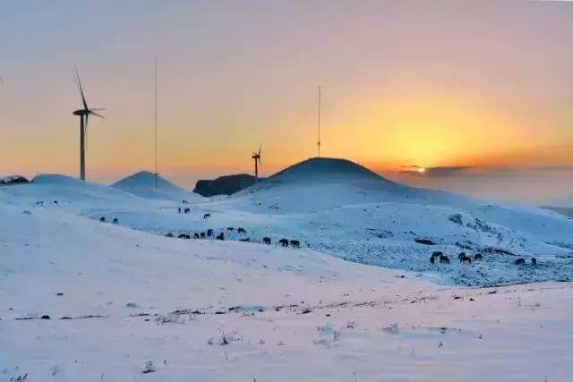 威宁草海雪景