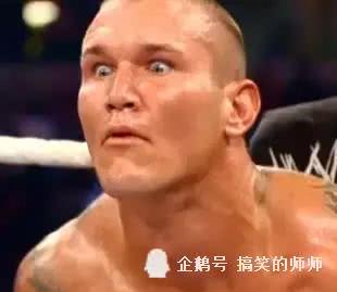 wwe表情包了解一下! 动图截图都有, 保存上和别人斗图