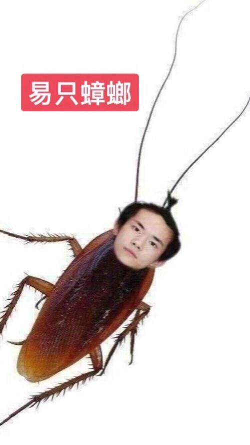 陈春会李飞前线大姐姐究竟谁是梅毒肝的最爱