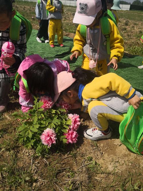 淮滨县育才幼儿园春游美篇 主题:爱在春天,乐在自然