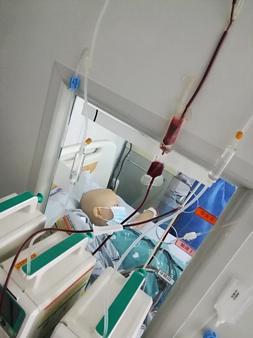 抗病魔的小怪兽,开启了移植仓的终极战斗