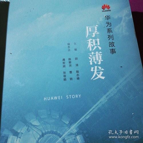 华为系列故事:枪林弹雨中成长:厚积薄发苗沙百战穿金甲:下一个倒下的