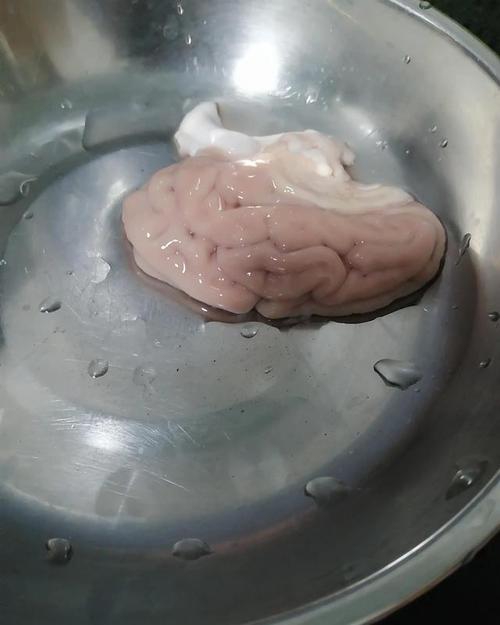 以形补形-冰糖蒸猪脑