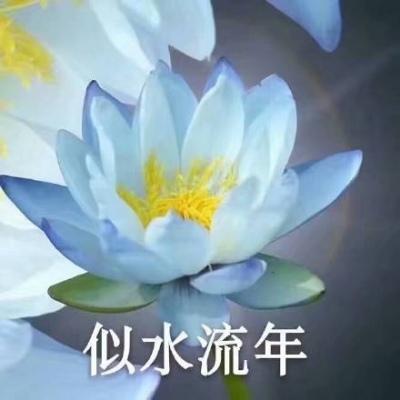 江淮:佛系荷花微信头像 岁月静好