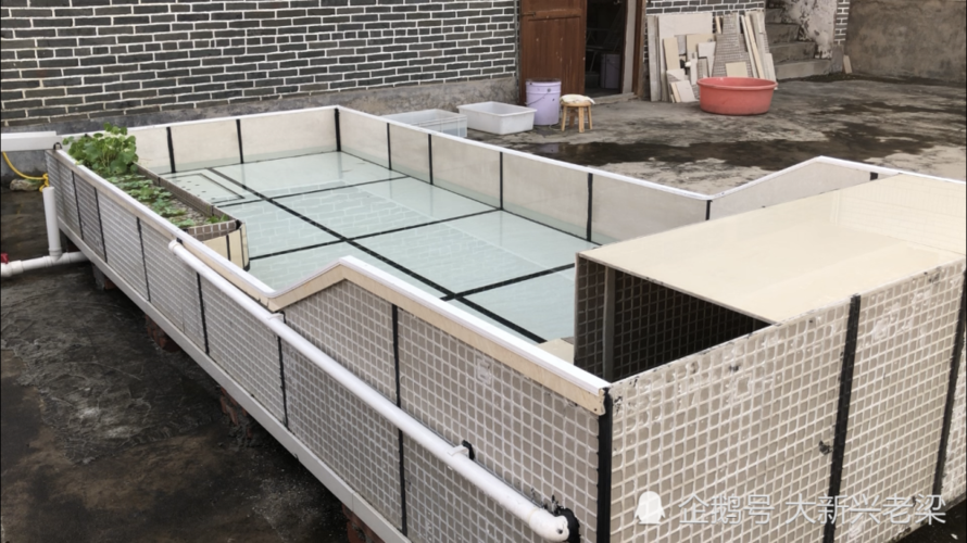 这个是龟友要求设计个砌砖的水泥池3米x5米在院子建造一个火焰龟池