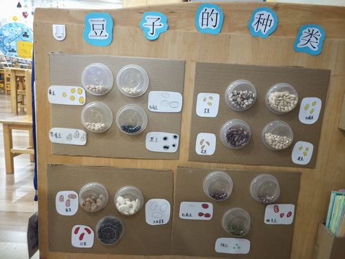 幼儿园大班组环创与区域活动研讨 写美篇 植物角,建构区,美工区和科学