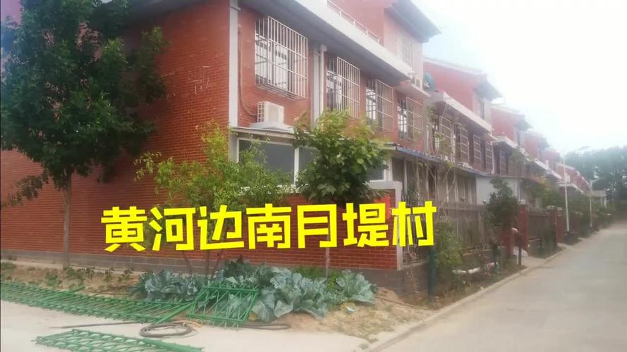 惠济区南月堤村,郑州最美的沿黄村庄,居住在这里真的