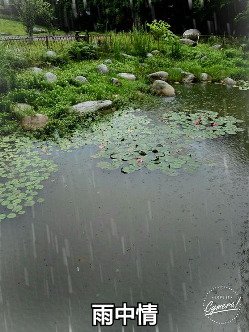 这些风景片不算美,但在我心中"她"是最美的.这可能就是乡愁吧!