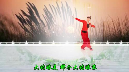 舞韵含香广场舞 大姑娘美大姑娘浪 表演 个人版