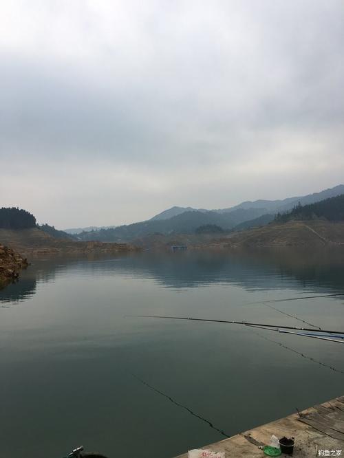 黎平墨门山水库 化氏饵料钓草鱼