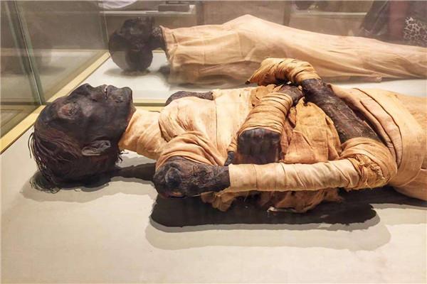 木乃伊会不会复活木乃伊是怎么制作而成的