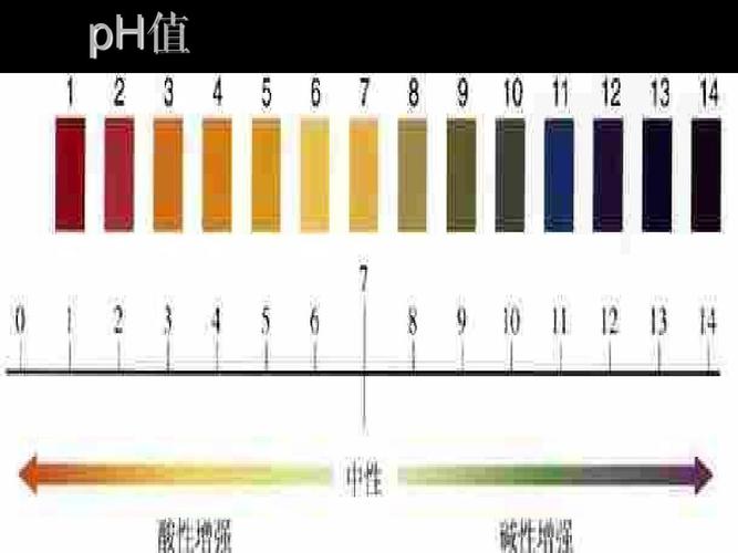 ph值  