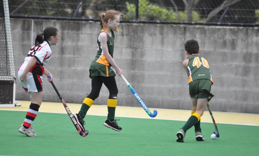 great times on the hockey field