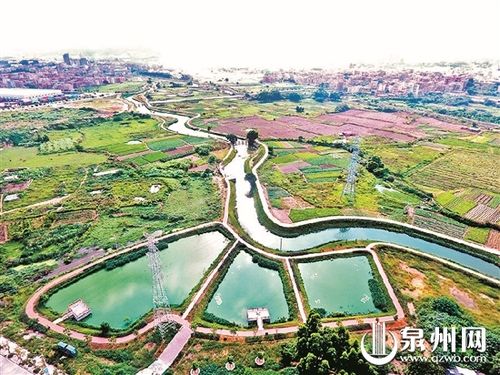 治理后的九十九溪内坑镇段,田园风光迷人.