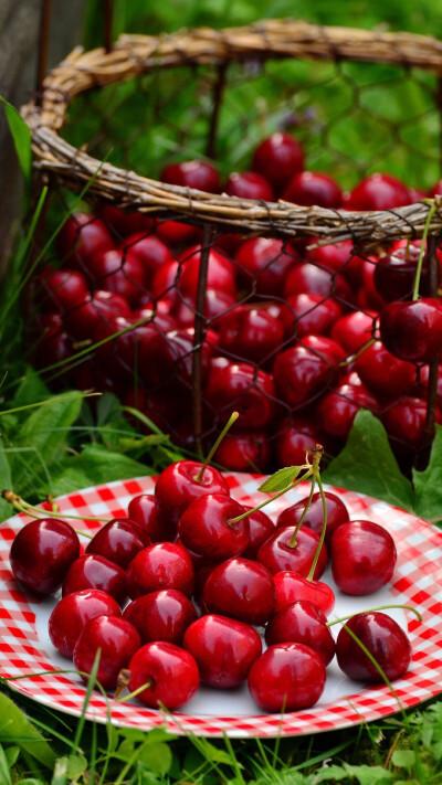 车厘子图片 - 堆糖,美图壁纸兴趣社区