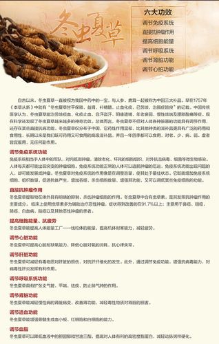 冬虫夏草的作用有哪些