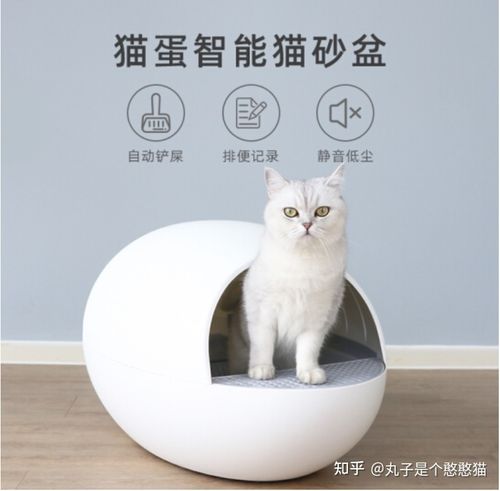 petmanager猫蛋全自动猫砂盆猫厕所半封闭式智能猫砂盆防外溅