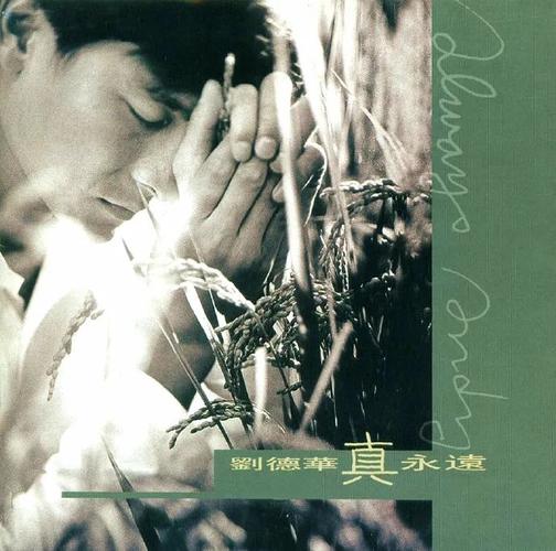 这三张接连推出的国语专辑构成刘德华最为无解的三连击