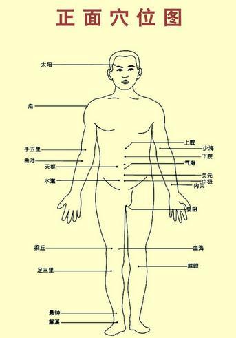 谁有一张标明了人体器官名称图,简单点的有肝脏,心脏