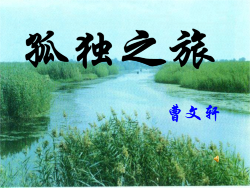 《孤独之旅》课件ppt课件.ppt