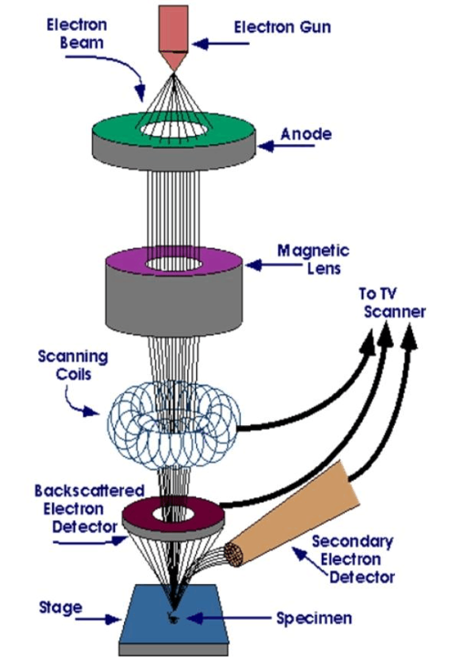 扫描电子显微镜原理及发展综述