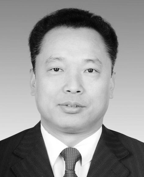 郑士民 金乡县委副书记,县长