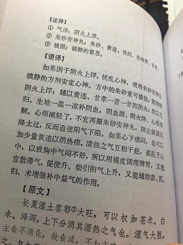 【脾胃论】长夏湿热胃困尤甚用清暑益气汤论·清暑益气汤4