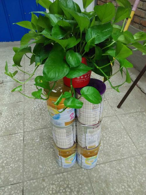 用奶粉罐做的花架子 就是不好看