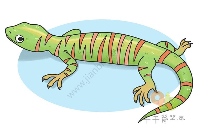 食草恐龙阿尔德蜥蜴简笔画画法