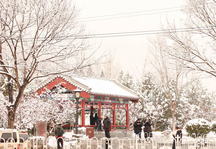 什刹海附近游人拍雪.什刹海附近游人赏雪.北海公园里的小男孩和雪人.