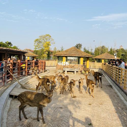 商丘动物园_景点_动物园_商丘人民公园攻略_商丘市动物园_出行_传统