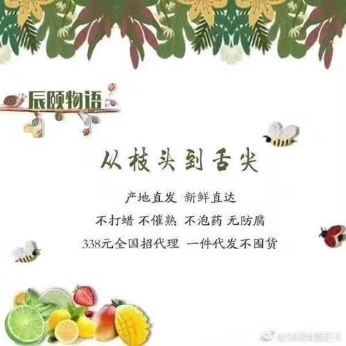【意禾农业】辰颐物语,水果分销项目,寻求水果代理