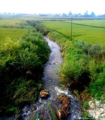 最是难忘故乡情