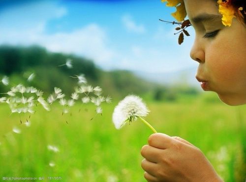 吹蒲公英的小孩图片