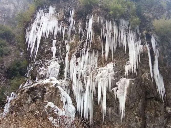 黄草坪披上一次看似雪花的冰条