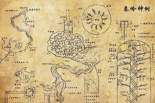 秦岭神树到底是怎么回事